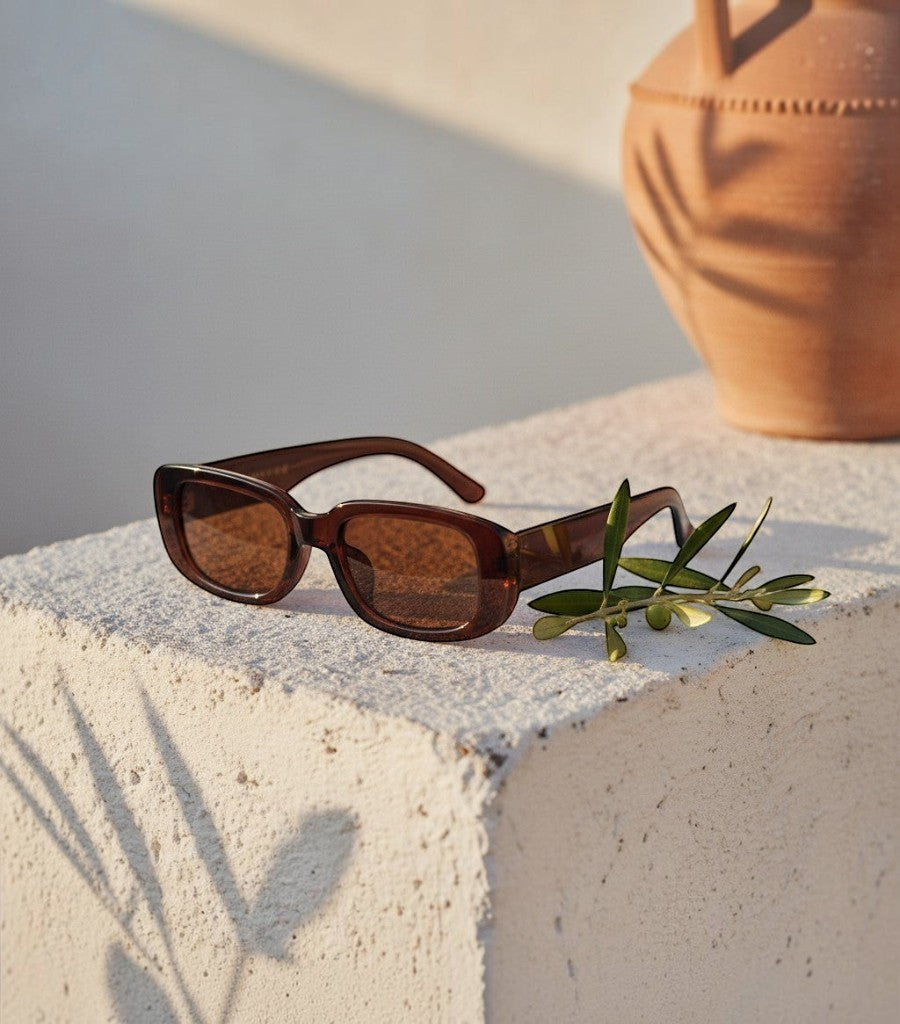 Gafas de sol cuadradas Clarvyna en color marrón sobre una superficie de piedra con una rama de olivo